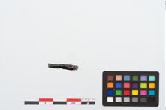 Foto von Bronzering (NHMW-PRAE-024591)